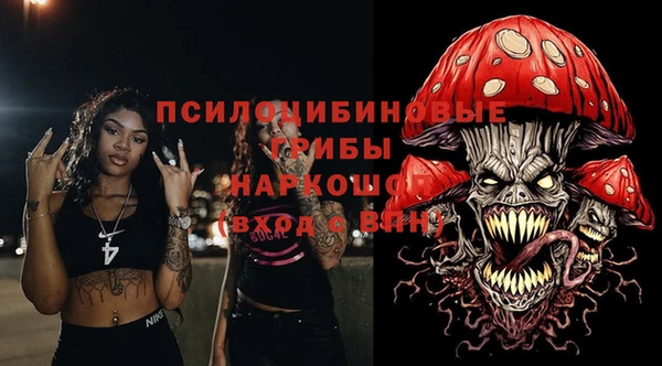 твердый Алексеевка