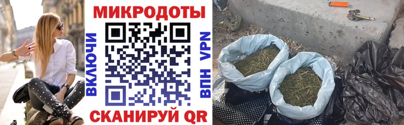 Галлюциногенные грибы MAGIC MUSHROOMS  купить наркоту  Заволжск 